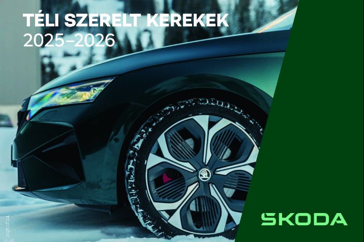 Skoda téli kerék